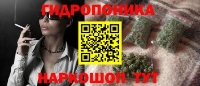 индика Чебаркуль