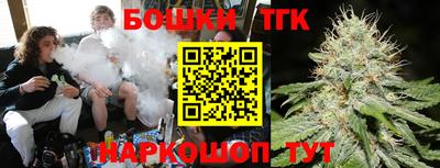 индика Чебаркуль