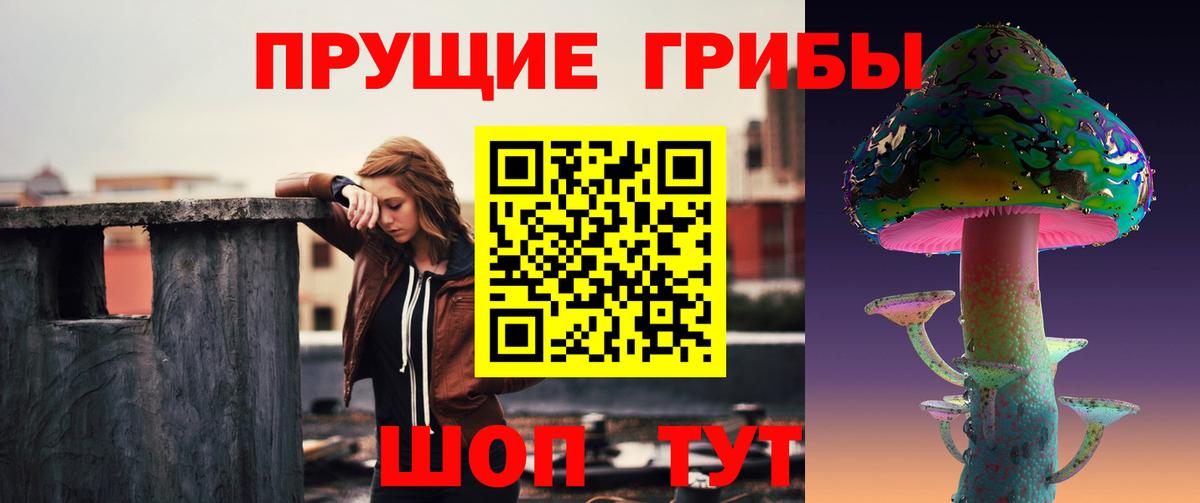 Лосино-Петровский  Псилоцибиновые грибы Magic Shrooms  Вход с VPN 
